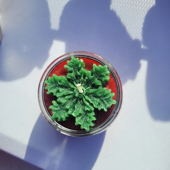 Meet your Posher, Vanyty - Picture 6 of 6